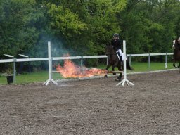 img_5783_web